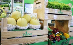 Vineco đưa nông sản Việt chinh phục thị trường Thái Lan