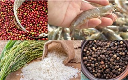 Đề xuất 15 sản phẩm nông nghiệp chủ lực quốc gia