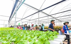 VinEco muốn thay đổi tư duy làm nông nghiệp Việt