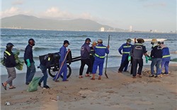 Cá chết hàng loạt dạt vào bờ biển Đà Nẵng