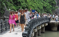 Hơn 14 triệu lượt khách quốc tế đã đến Việt Nam trong năm nay