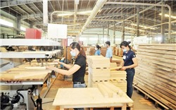 Trong 11 tháng, xuất khẩu gỗ và sản phẩm gỗ đạt 8,2 tỷ USD