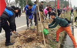 Hà Nội: Chuẩn bị tốt các điều kiện cho “Tết trồng cây đời đời nhớ ơn Bác Hồ” Xuân Kỷ Hợi