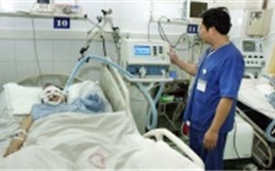 Hà Nội công bố đường dây nóng 26 bệnh viện trực cấp cứu dịp Tết