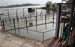 Đà Nẵng: Nguồn nước sinh hoạt lại bị nhiễm mặn
