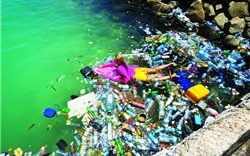 Coca-Cola và Pepsi bắt tay hợp tác giảm rác thải nhựa ra môi trường