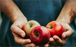 7 lý do bạn nên ăn táo mỗi ngày