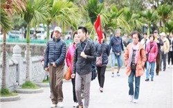 Khó khăn trong việc ngăn chặn các tour du lịch giá rẻ tại Quảng Ninh