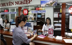 Đà Nẵng triển khai thanh toán điện tử hành chính công qua Ví MoMo