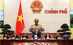 Thủ tướng giao Phó Thủ tướng Trịnh Đình Dũng chỉ đạo ứng phó bão số 12