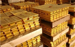 Giá vàng ngày 14/9: Vàng trong nước quay mình tăng nhẹ