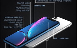 iPhone XR &#39;giá rẻ&#39;: Màn hình LCD tai thỏ, 6 màu sắc, 1 camera sau, giá từ 17 triệu đồng