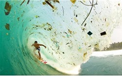 15 bức ảnh khiến bạn giật mình sợ hãi vì tác hại kinh khủng của đồ nhựa với môi trường