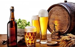 Cân nhắc kỹ về kinh phí phục vụ hoạt động phòng, chống tác hại của rượu, bia