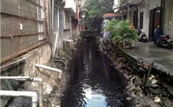 Hà Nội: Người dân Thụy Khuê khốn khổ vì sống cạnh mương ô nhiễm