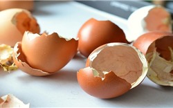 Hàng triệu tấn vỏ trứng vứt bỏ mỗi năm, bạn nên dừng làm điều này lại
