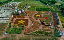 Ngỡ ngàng ngắm bản đồ Việt Nam làm từ 150.000 cây hoa đầy màu sắc