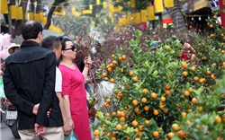 Cận cảnh chợ hoa cổ giữa lòng Hà Thành, mỗi năm chỉ họp một lần