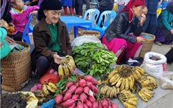Độc đáo nét văn hóa Chợ phiên giữa thung lũng núi đá Mèo Vạc - Hà Giang