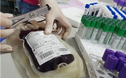 Thiếu trầm trọng, máu chỉ đủ cho 2-3 ngày điều trị ở Viện huyết học lớn nhất cả nước