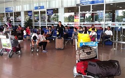 Chất lượng dịch vụ sân bay: Cát Bi chót vót đầu bảng, Tân Sơn Nhất bất ngờ đứng cuối