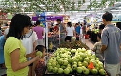 Hà Nội: Hướng dẫn tiếp tục triển khai thực hiện Đề án trái cây năm 2019