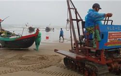 Ra biển "săn" cá trích, cá mạu, ngư dân Hà Tĩnh thu tiền triệu mỗi ngày