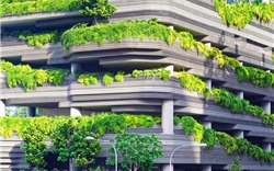 Công trình xanh – giải pháp khẩn cấp cho biến đổi môi trường