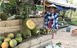 Trung Quốc tăng mua, nhiều loại trái cây được giá