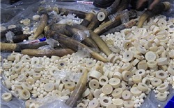 Hà Nội: Thu giữ nhiều sản phẩm nghi chế tác từ ngà voi