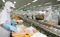 Xuất khẩu chả cá và surimi tăng 13% trong 2 tháng đầu năm