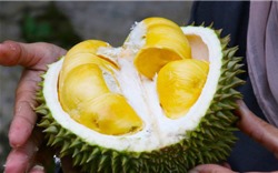 6 đối tượng tuyệt đối không nên ăn sầu riêng dù thèm đến mấy