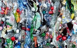 Chung tay vì một môi trường sống không rác thải nhựa
