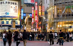 Shibuya Nhật Bản – Nơi nổi tiếng với chú chó trung thành Hachiko ngày càng sầm uất