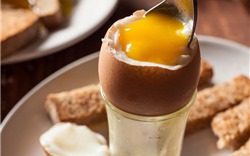 Nếu mắc những bệnh này thì cấm kỵ món trứng, hãy nghiêm khắc vì rất hại cho bạn