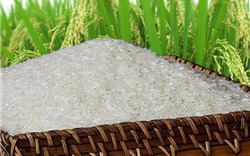Giá gạo của Ấn Độ và Việt Nam giảm do nhu cầu