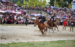 Lần đầu tiên, lễ hội đua ngựa truyền thống vùng cao được tổ chức tại Fansipan