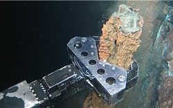 Khai thác khoáng sản đáy biển: Mối đe doạ mới của đại dương