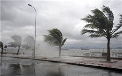 Chủ động ứng phó với áp thấp nhiệt đới có khả năng mạnh lên thành bão