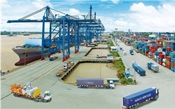 Kim ngạch hàng hóa nhập khẩu tháng 7-2019 tăng 14,9%