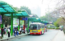 Hà Nội lựa chọn 307 vị trí lắp đặt nhà chờ xe buýt tại ngoại thành