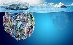 Mất bao lâu để rác thải nhựa có thể phân hủy?