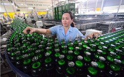 Sau Sabeco, “đại gia” ngành bia nào có thể bị truy thu thuế?