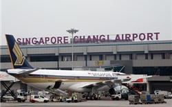 Bay sang Singapore, nhiều hành khách Việt Nam bị từ chối nhập cảnh