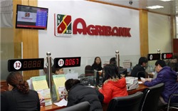 Agribank ưu tiên tuyển dụng nhân sự là con cán bộ trong ngành