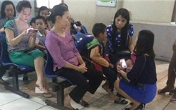 Hà Nội: Hơn 50 học sinh bị ong đốt phải nhập viện cấp cứu