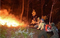 Những hình ảnh "chiến đấu với giặc lửa" trong vụ cháy rừng chưa từng có ở Hà Tĩnh