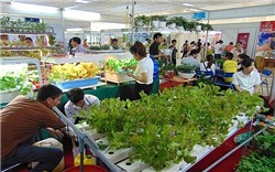 Hà Nội tiếp tục thúc đẩy xây dựng chuỗi nông sản an toàn