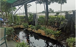 Hà Nội: Khu nghỉ dưỡng hàng nghìn mét vuông "mọc" trên hành lang thoát lũ sông Đuống