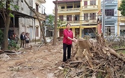 Huyện Phúc Thọ, Hà Nội: Vườn nhà dân “mọc” lên dự án